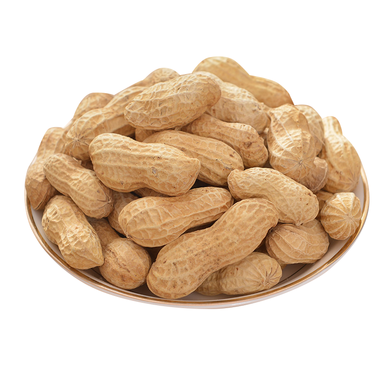 Runner Peanuts suppliers and exporters in India